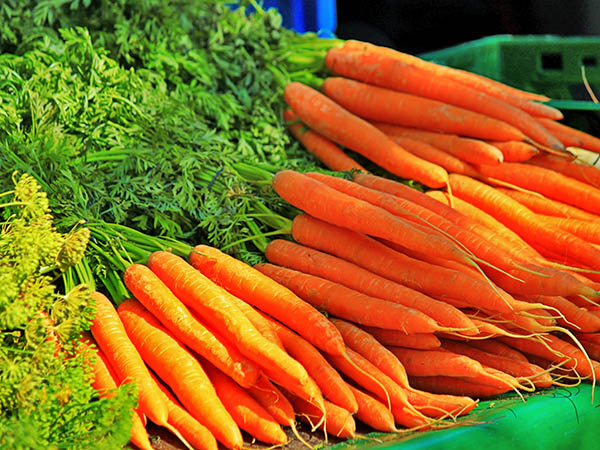 胡蘿卜配送